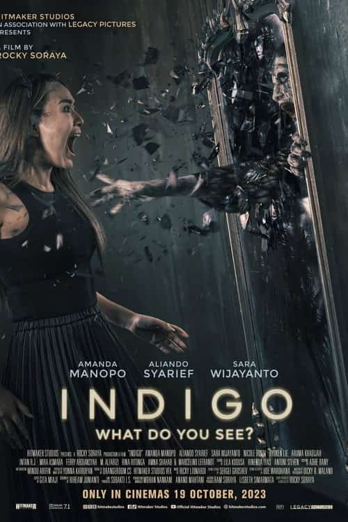 Indigo: เธอเห็นอะไร