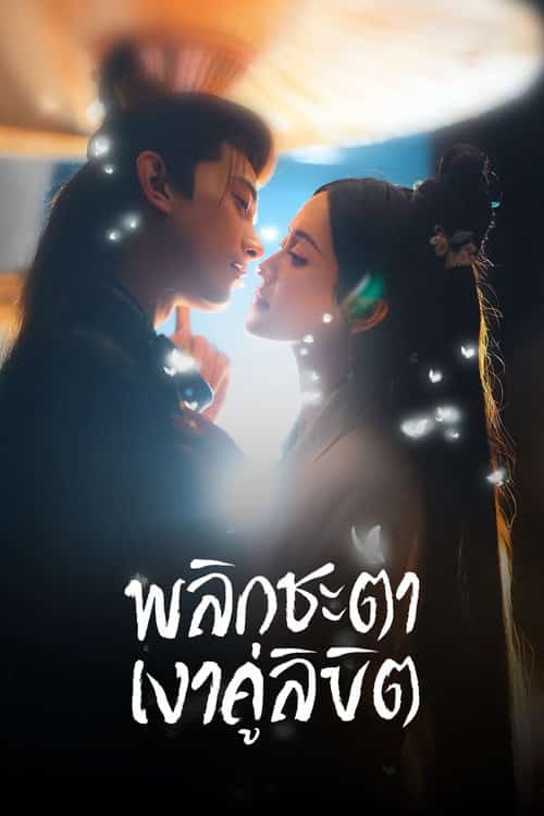 พลิกชะตาเงาคู่ลิขิต