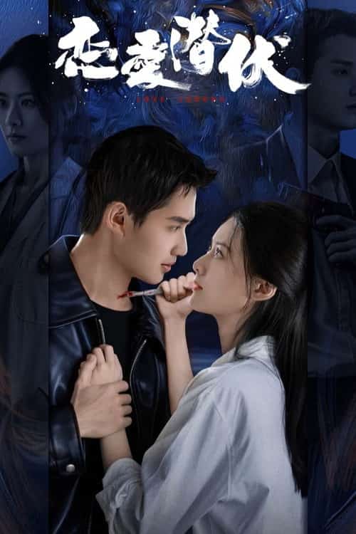 หัวใจซ่อนเงา